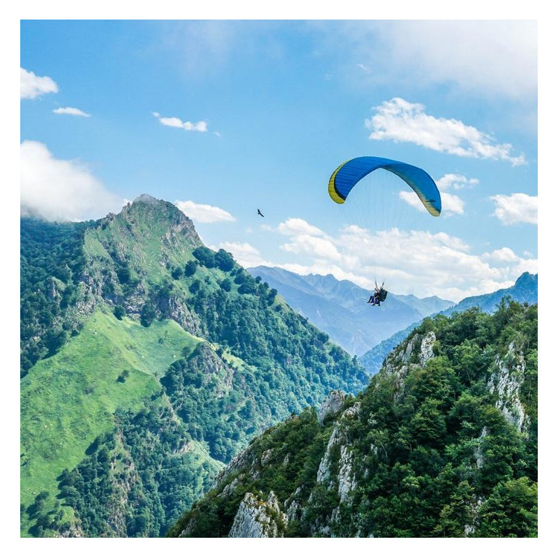 PARAPENTE NERVURES KIDO