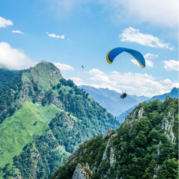 PARAPENTE NERVURES KIDO