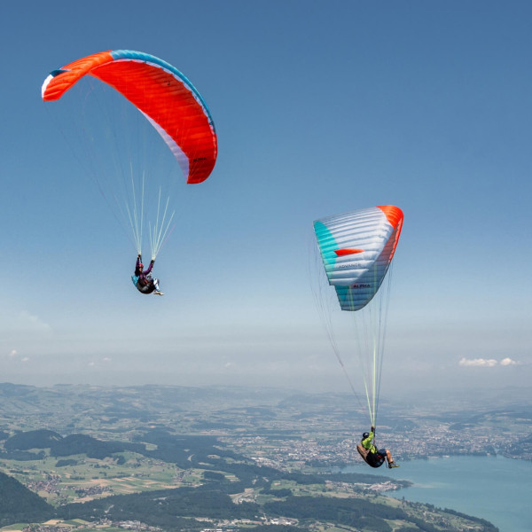 SELLETTE ADVANCE SUCCESS 5 2