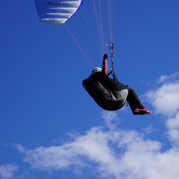 SELLETTE DUDEK DISCO 2