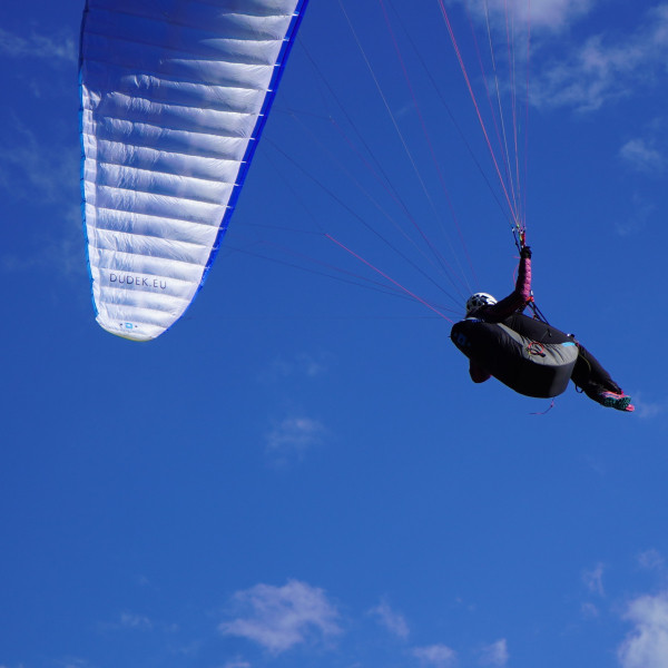 SELLETTE DUDEK DISCO 2