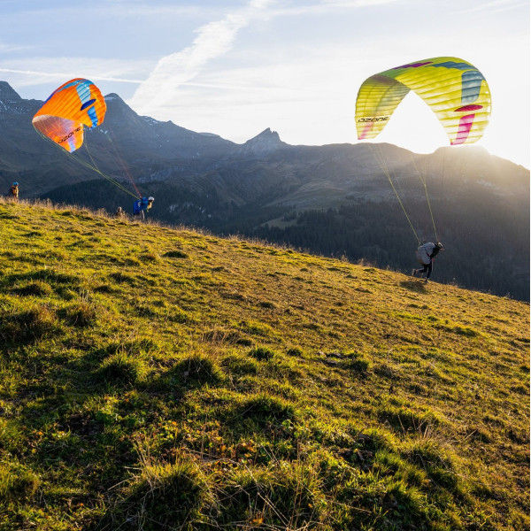 PARAPENTE OZONE MOXIE