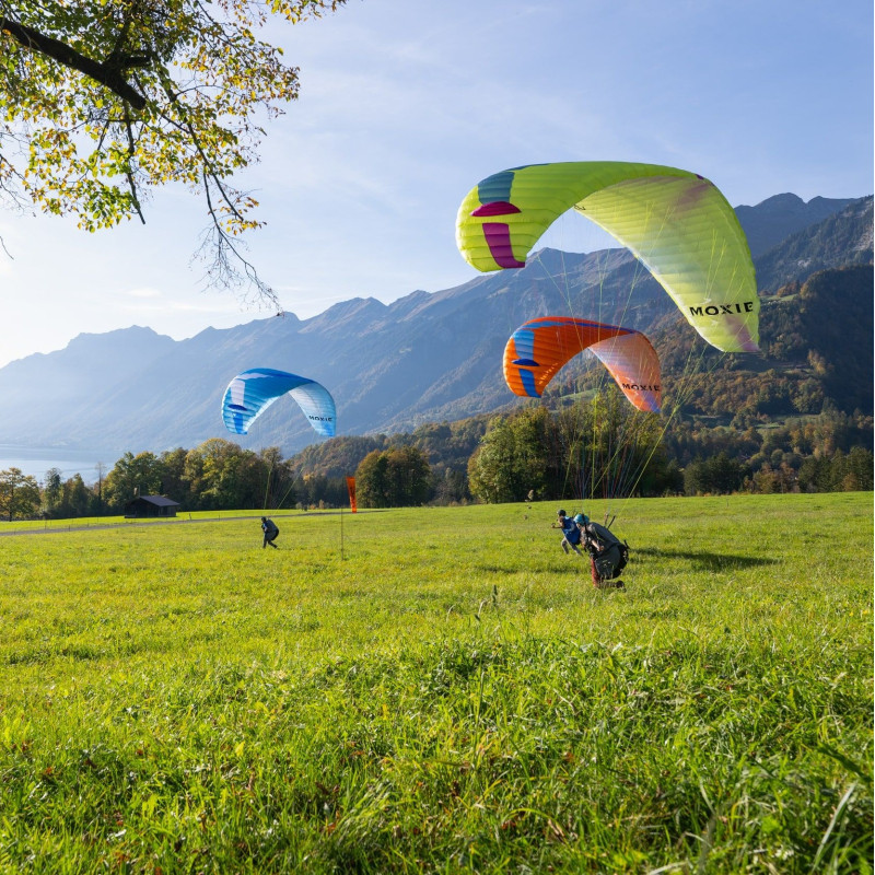 PARAPENTE OZONE MOXIE