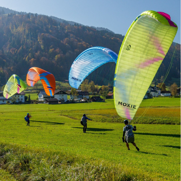 PARAPENTE OZONE MOXIE