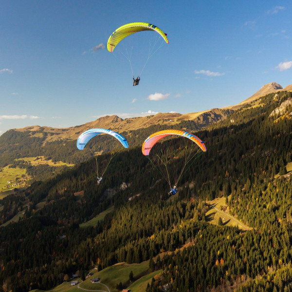 PARAPENTE OZONE MOXIE