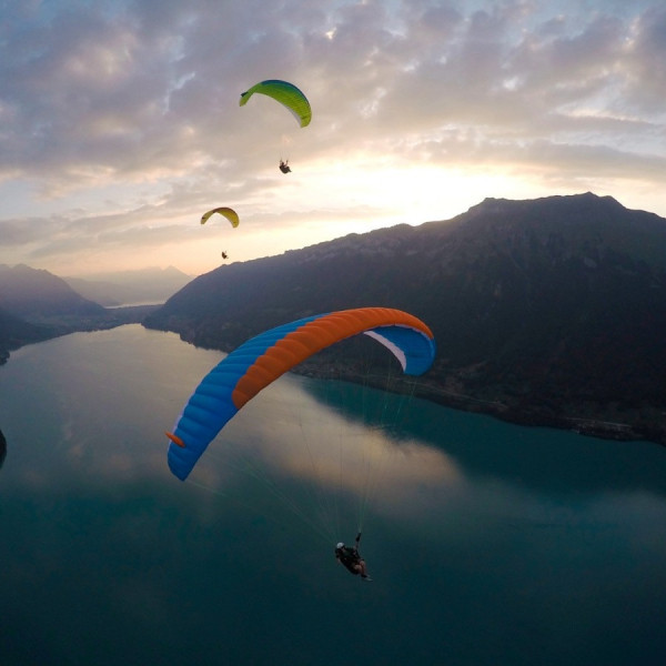 PARAPENTE OCCASION ADVANCE ALPHA 6 - 31m² 2