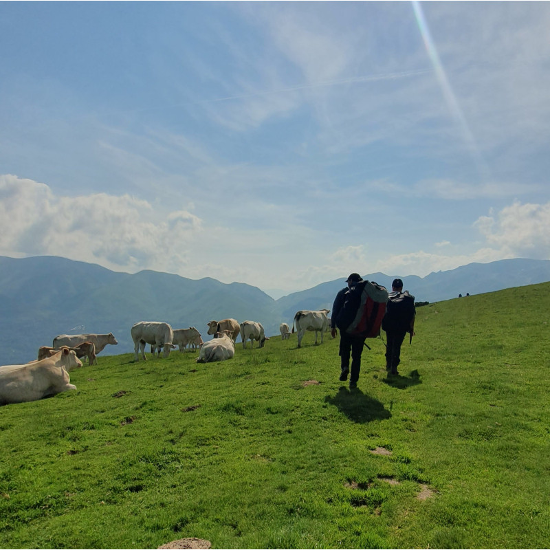 Journée Découverte Parapente Chambéry - Lac du Bourget