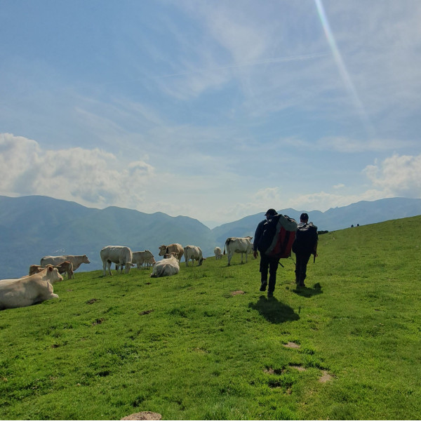 Journée Découverte Parapente Chambéry - Lac du Bourget
