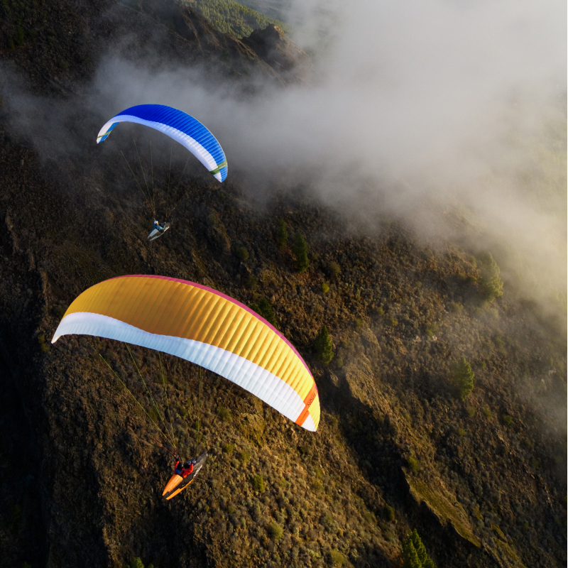 PARAPENTE NOVA MENTOR 7 LIGHT