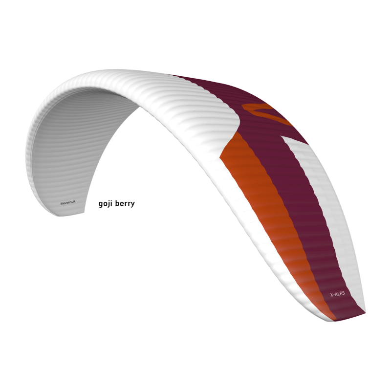 PARAPENTE SKYWALK X-ALPS 6