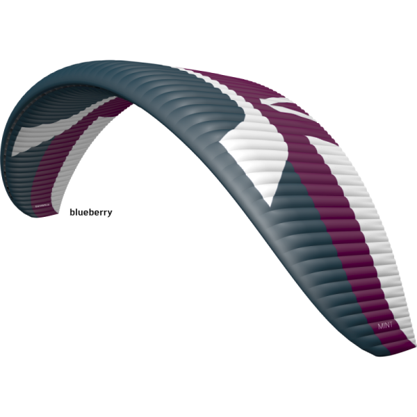 PARAPENTE SKYWALK MINT